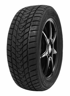 Delinte 215/55R16 WD1 XL M+S 97H